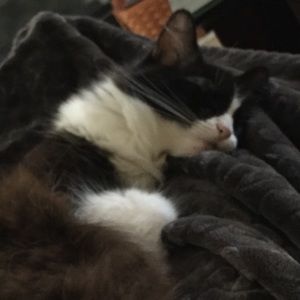 Meet your Posher, Karen